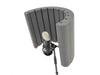 Microphone shields