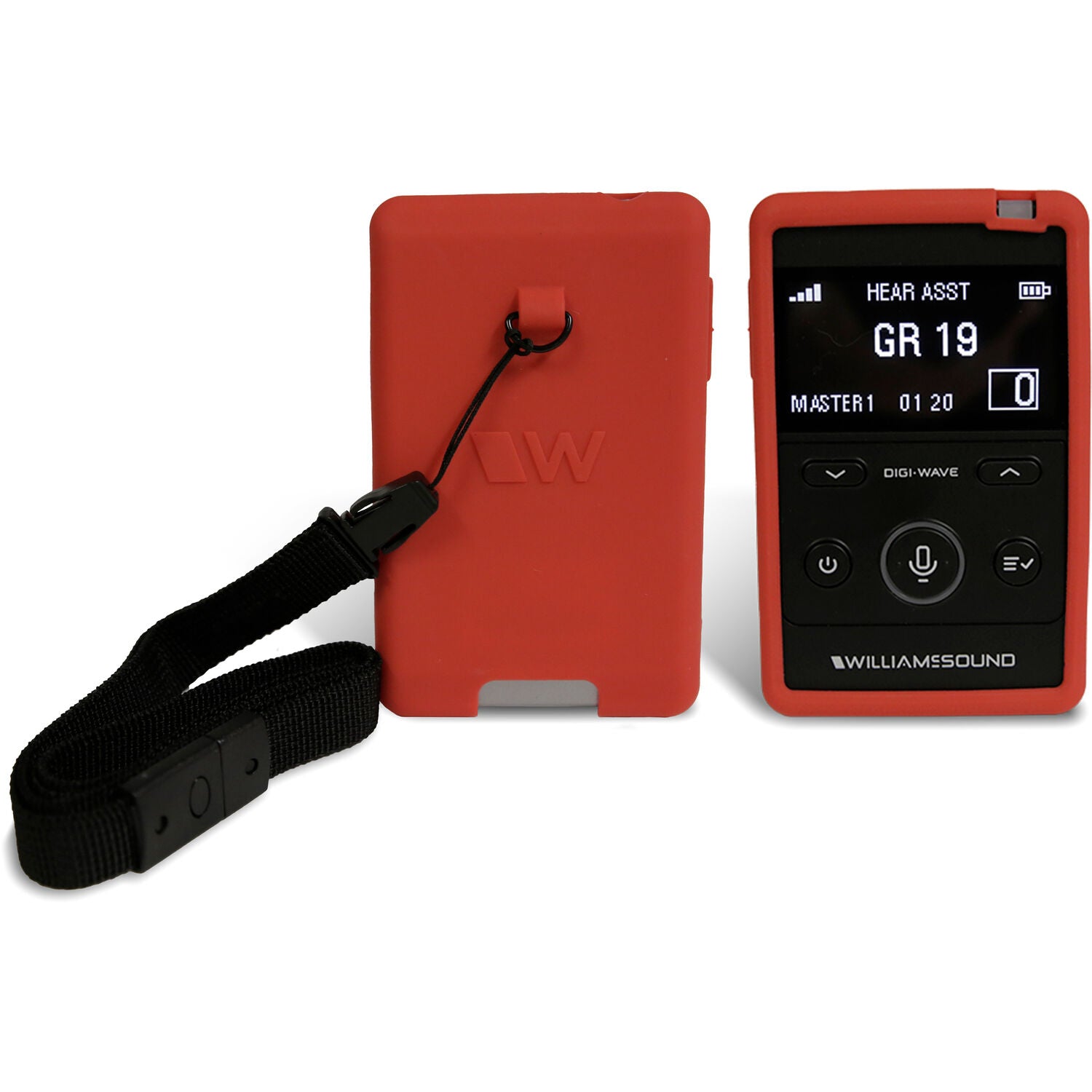 Williams AV Digi-Wave AIM (Advanced Interpretation Module) System