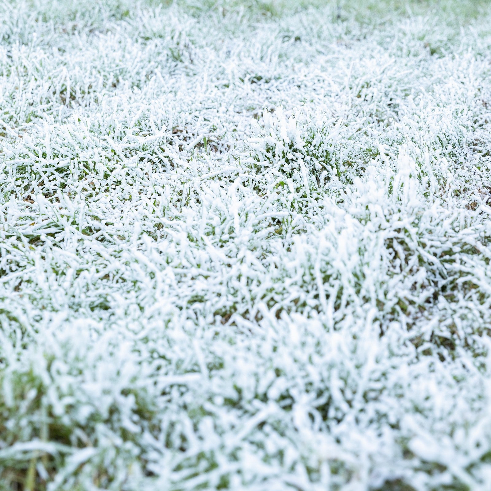 BeamZ Rage 1000 Sniega mašīna ar bezvadu kontrolieri