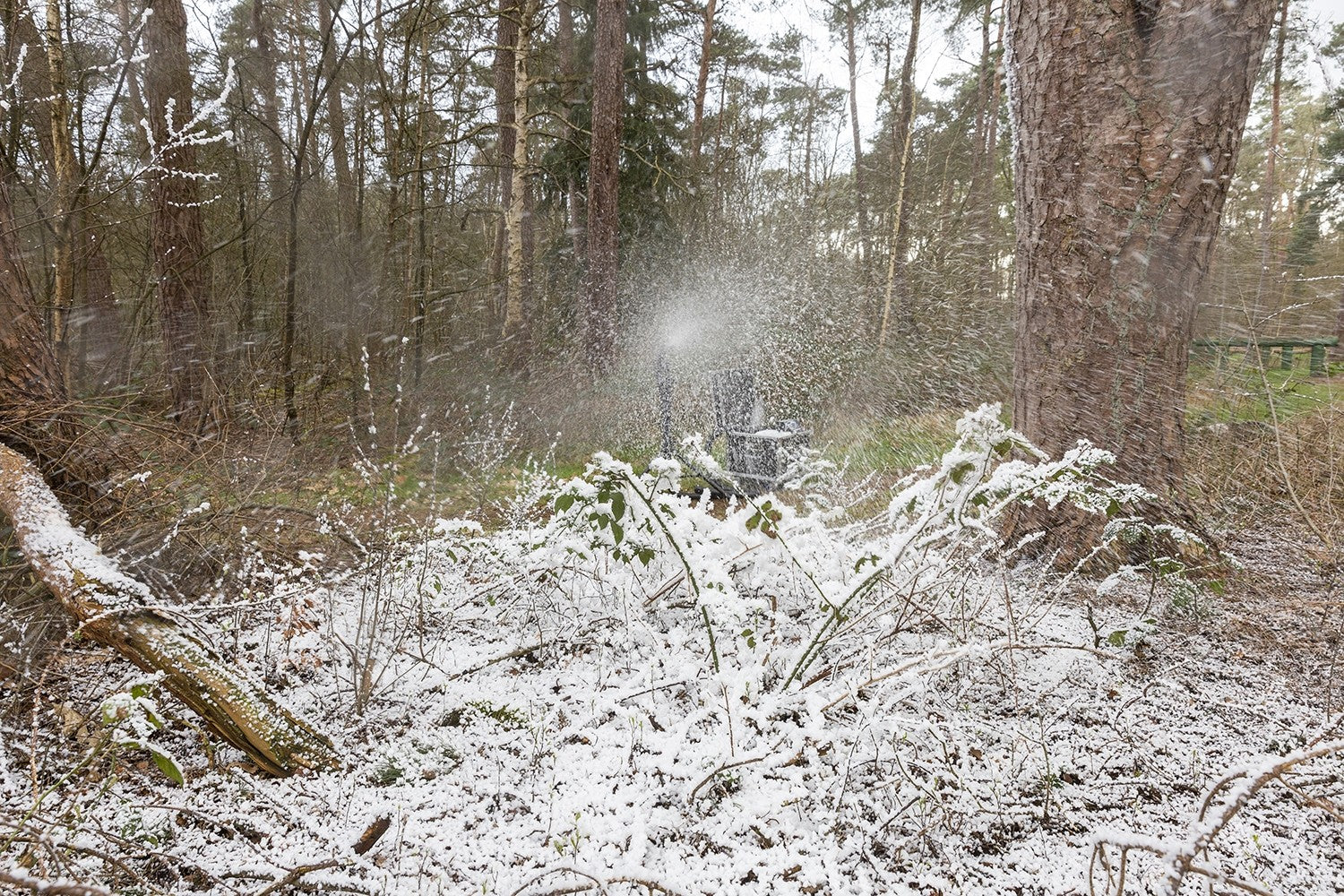 BeamZ SNOW5000 Liela apjoma sniega mašīna