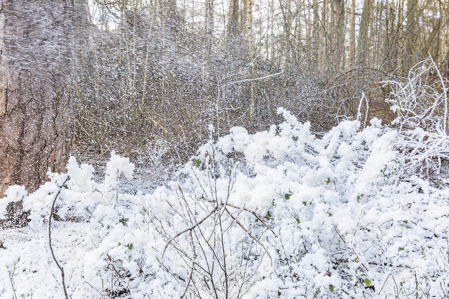BeamZ SNOW5000 Liela apjoma sniega mašīna