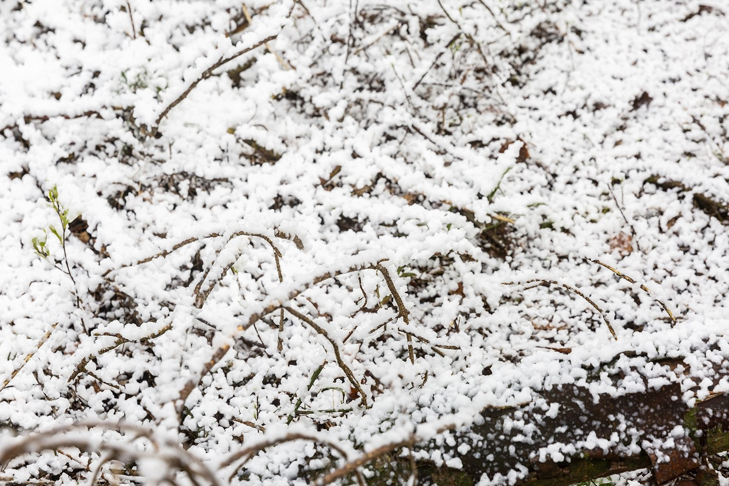 BeamZ SNOW5000 Liela apjoma sniega mašīna