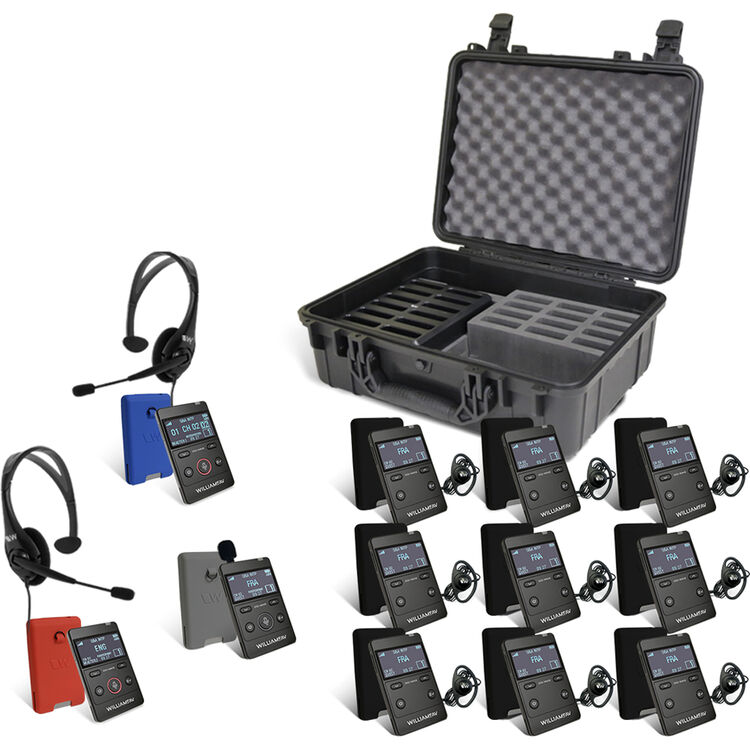 Williams AV Digi-Wave AIM (Advanced Interpretation Module) System