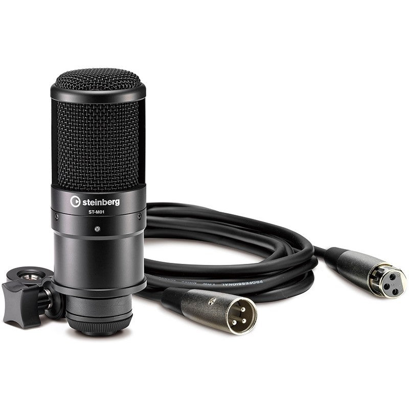 Steinberg UR22 MK2 Ieraksta komplekts