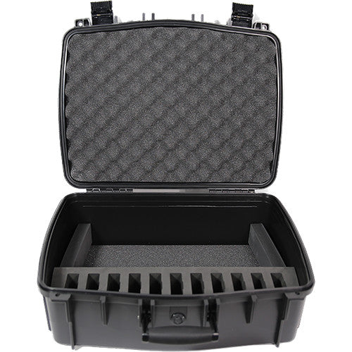 Williams AV 10-Person Portable Digi-Wave Interpretation System