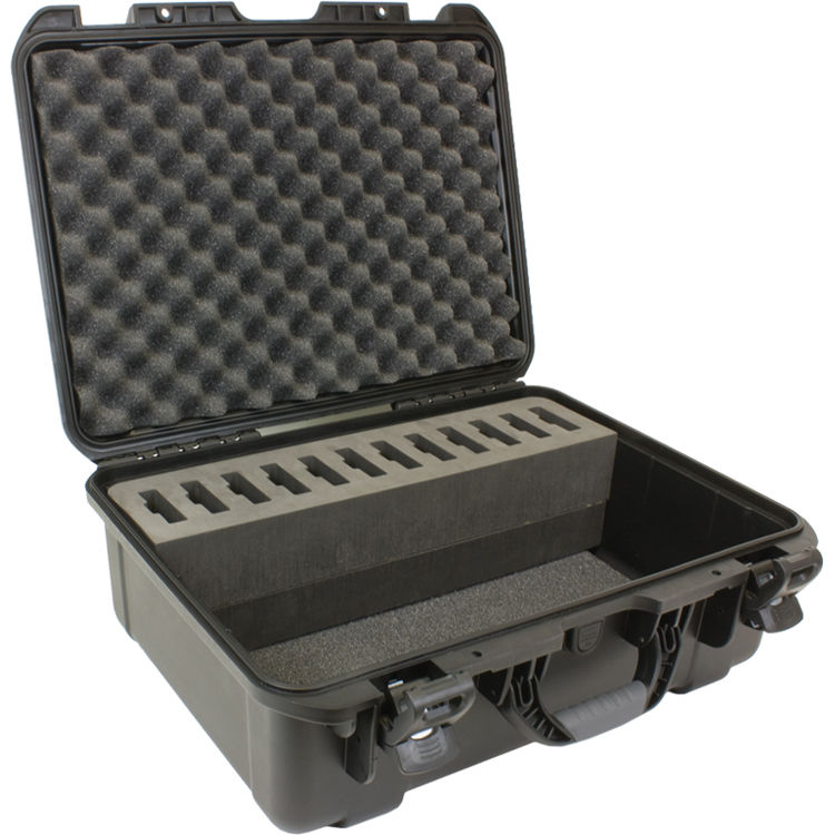 Williams AV 20-Person Portable Digi-Wave Interpretation System